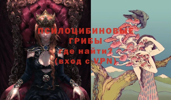 тгк Кинешма