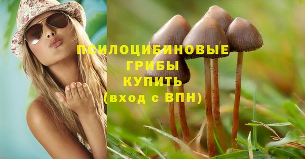 метадон Кодинск