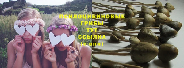 тгк Кинешма