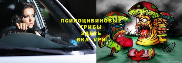 сатива Киренск