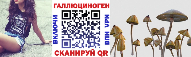 Галлюциногенные грибы ЛСД  Михайловка 
