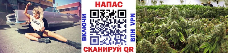 Канабис THC 21%  blacksprut рабочий сайт  Михайловка 